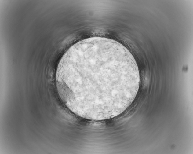 X0000093610619200711121214