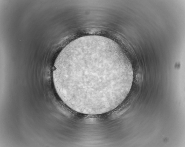 X0000093610620200711121214