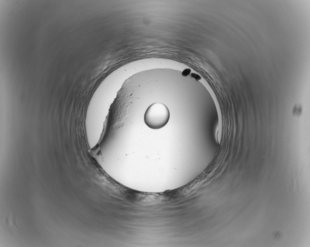 X0000093610621200711121214
