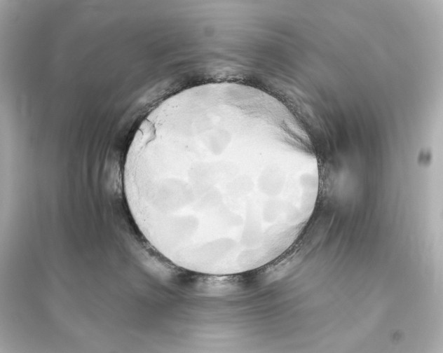 X0000093610622200711121214