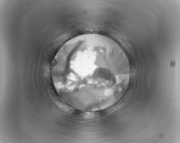 X0000093610623200711121214