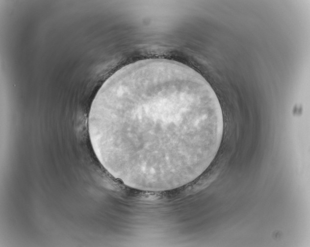 X0000093610624200711121214