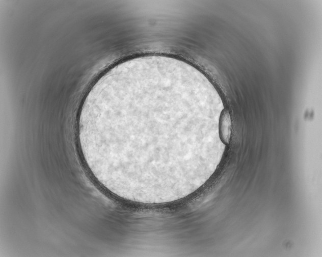 X0000093610625200711121213
