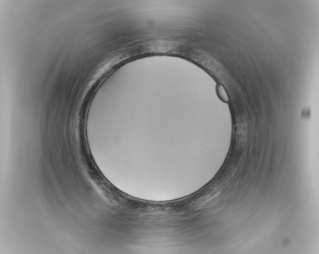 X0000093610626200711121213