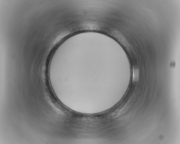 X0000093610627200711121213
