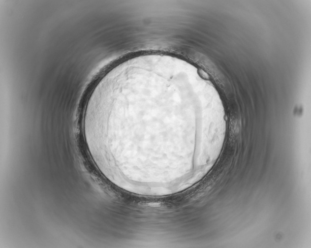 X0000093610628200711121213