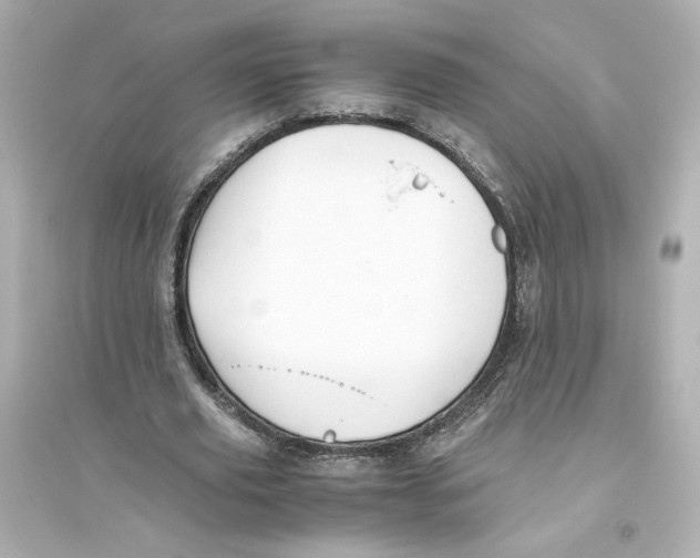 X0000093610629200711121213