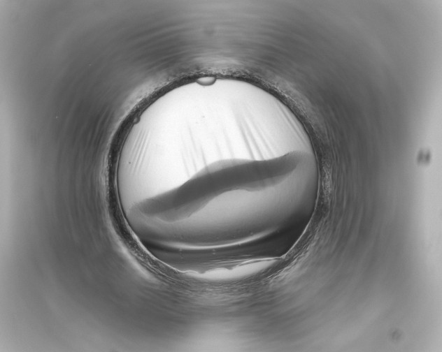 X0000093610630200711121213
