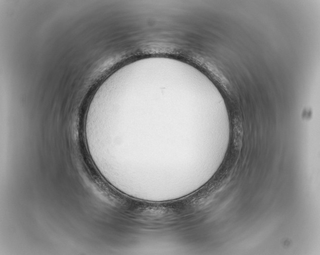 X0000093610631200711121213