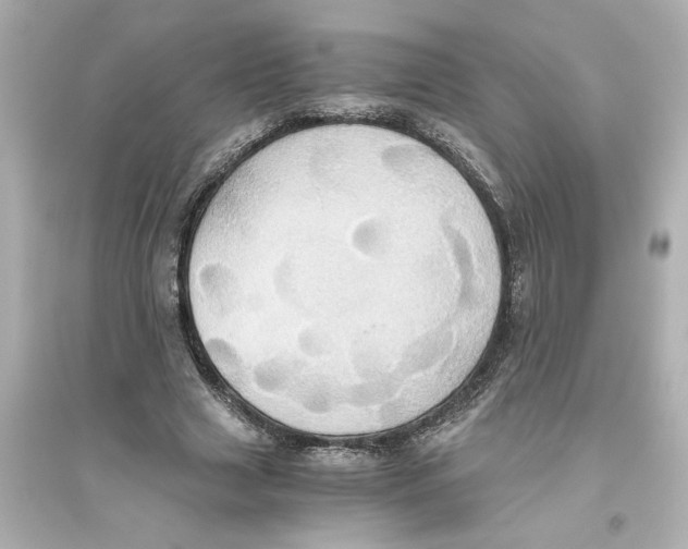 X0000093610633200711121213