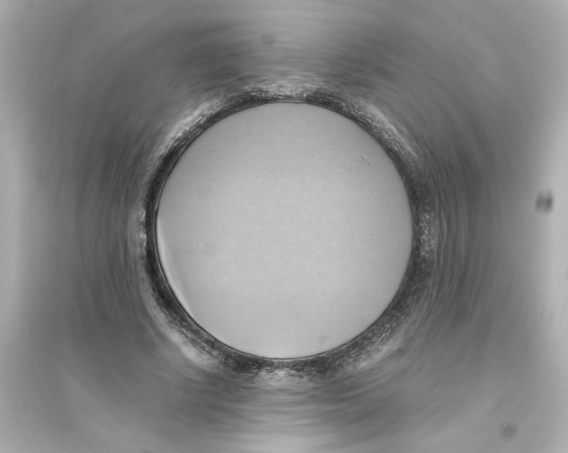 X0000093610634200711121213