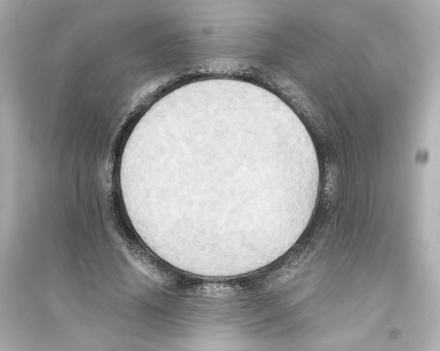 X0000093610636200711121213
