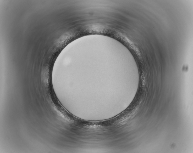 X0000093610637200711121213