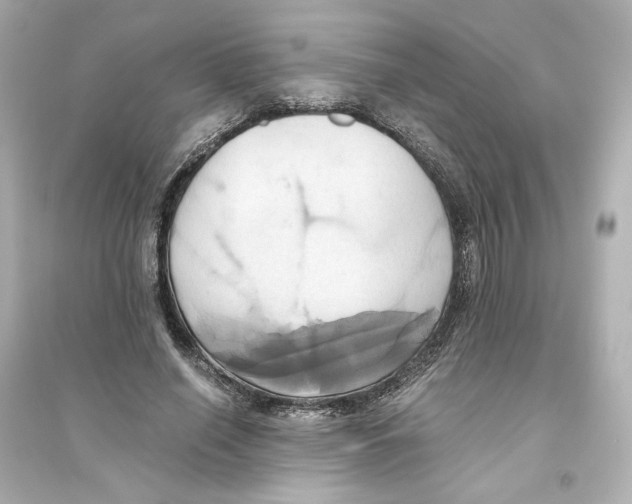 X0000093610638200711121213