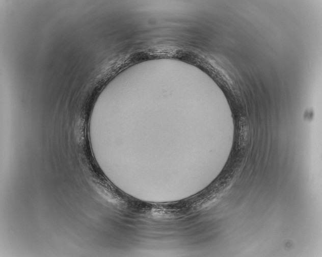 X0000093610641200711121213