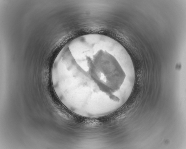 X0000093610642200711121213