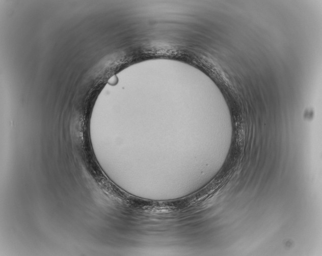 X0000093610643200711121213