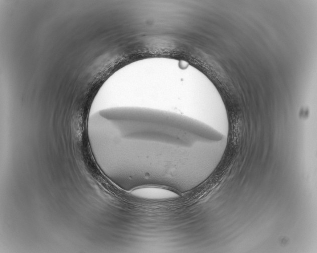 X0000093610644200711121213