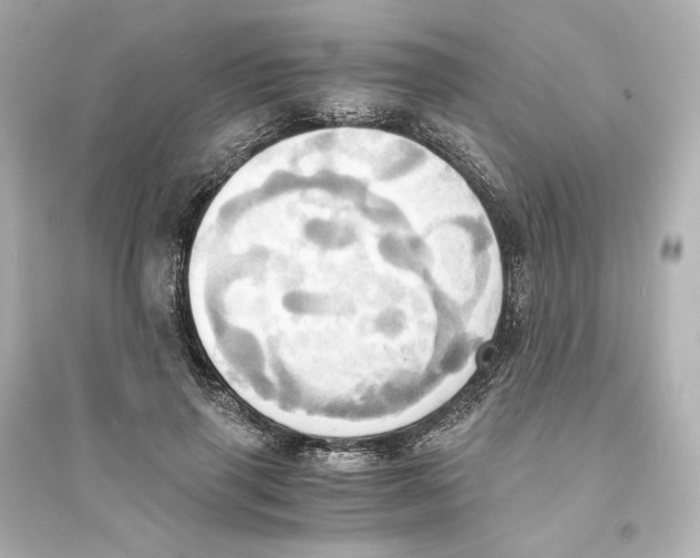 X0000093610645200711121213