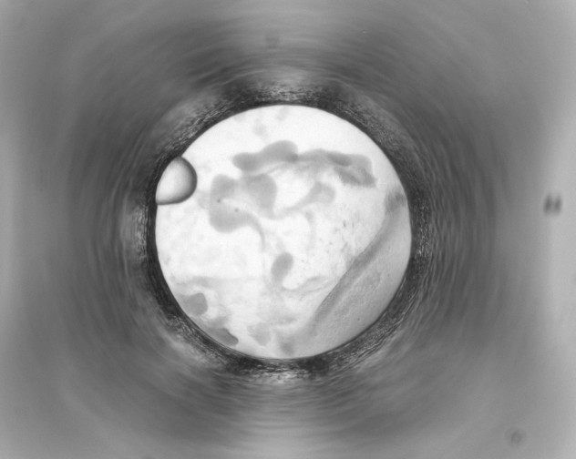X0000093610646200711121213