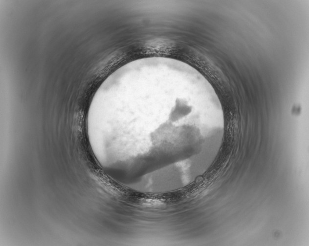X0000093610649200711121213