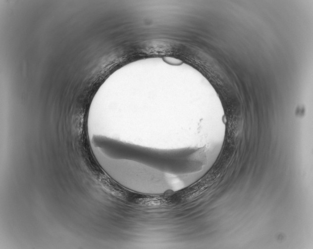 X0000093610652200711121213