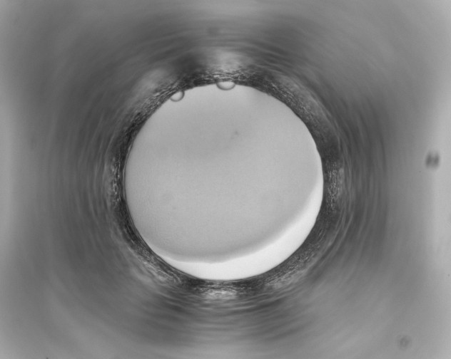 X0000093610653200711121213