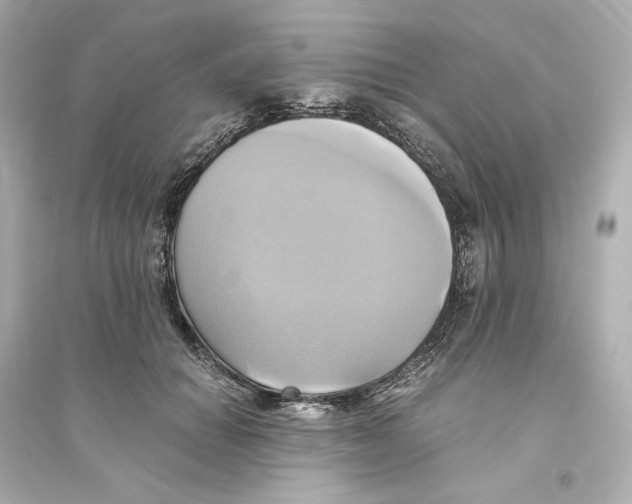 X0000093610654200711121213