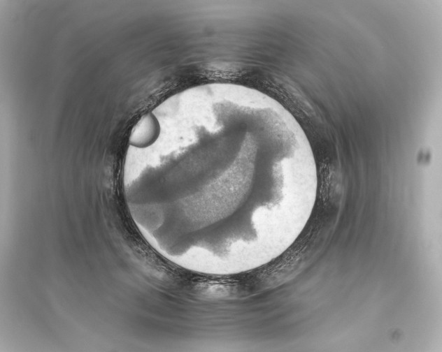 X0000093610655200711121213