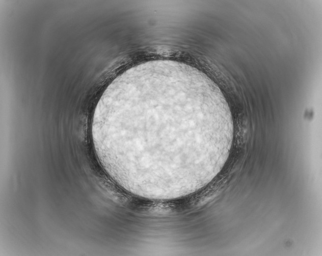 X0000093610656200711121213
