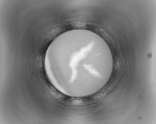 X0000093610658200711121213