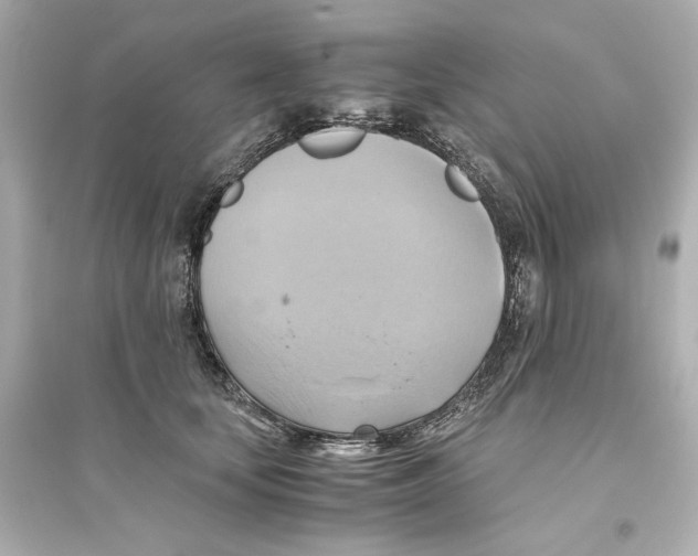 X0000093610659200711121213