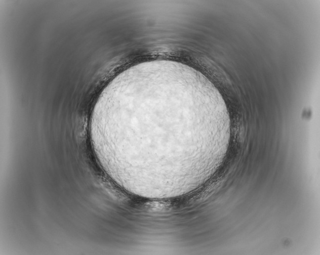 X0000093610660200711121213
