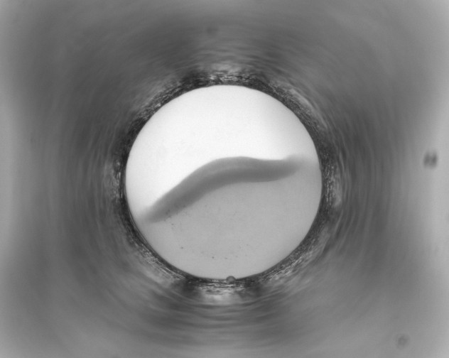 X0000093610661200711121213