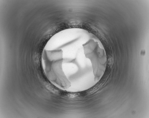 X0000093610662200711121213