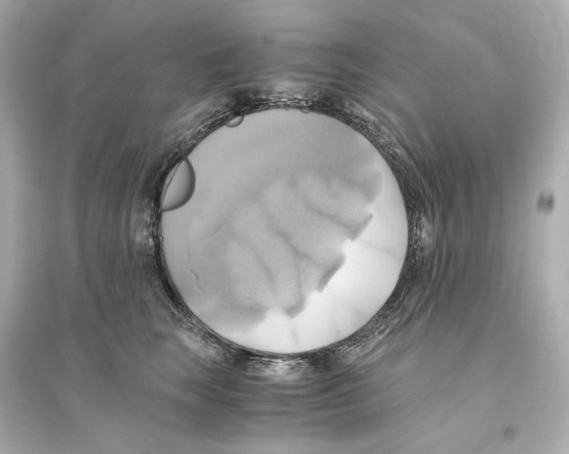 X0000093610663200711121213