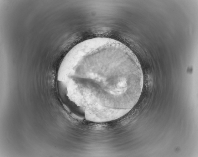 X0000093610664200711121213