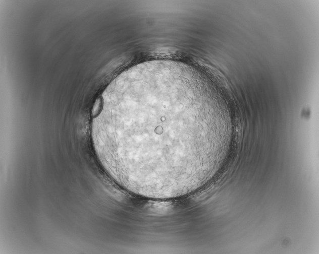 X0000093610665200711121213