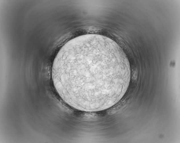 X0000093610666200711121213