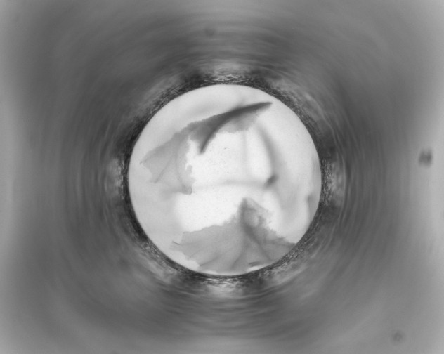 X0000093610667200711121213