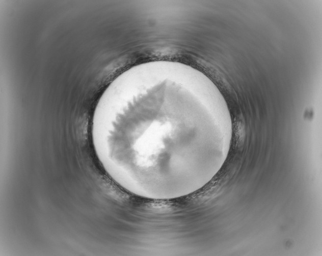 X0000093610668200711121213
