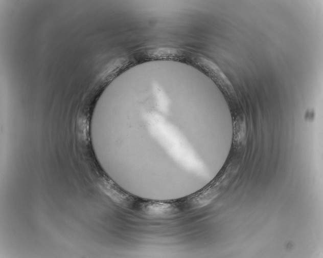 X0000093610669200711121213