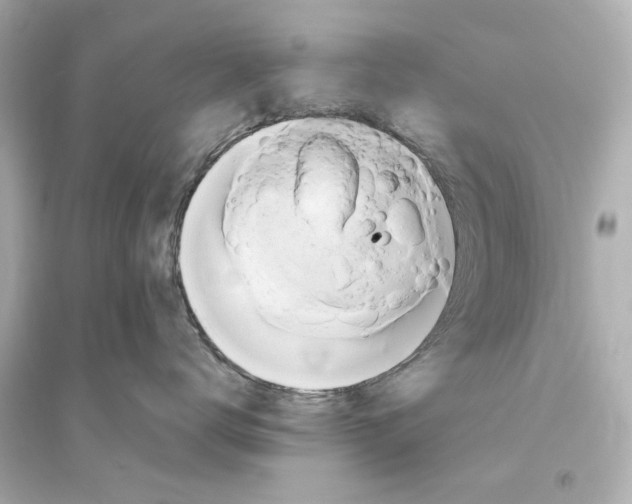 X0000093610672200711121214
