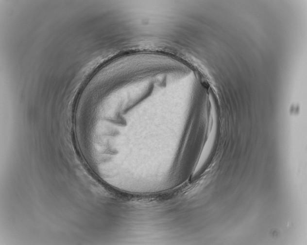 X0000093610673200711121213