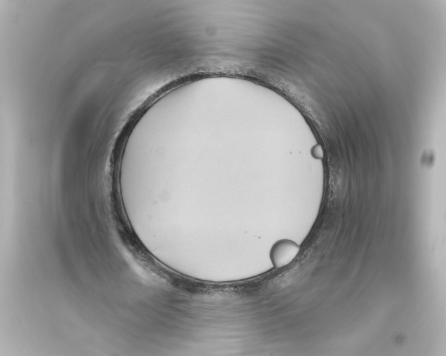 X0000093610674200711121213
