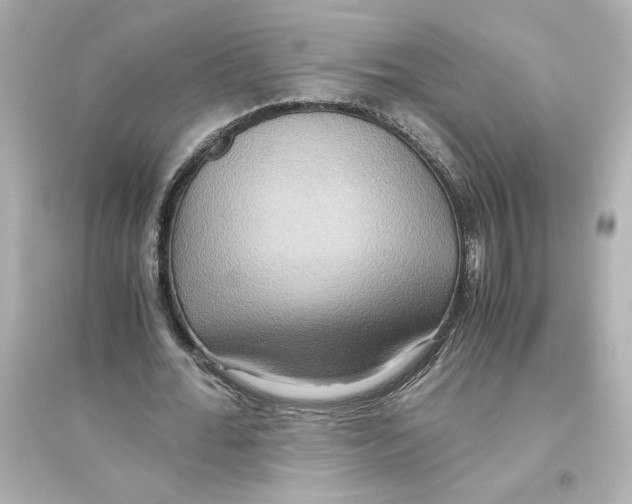 X0000093610676200711121213