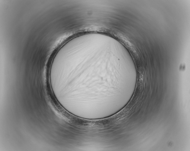 X0000093610678200711121213