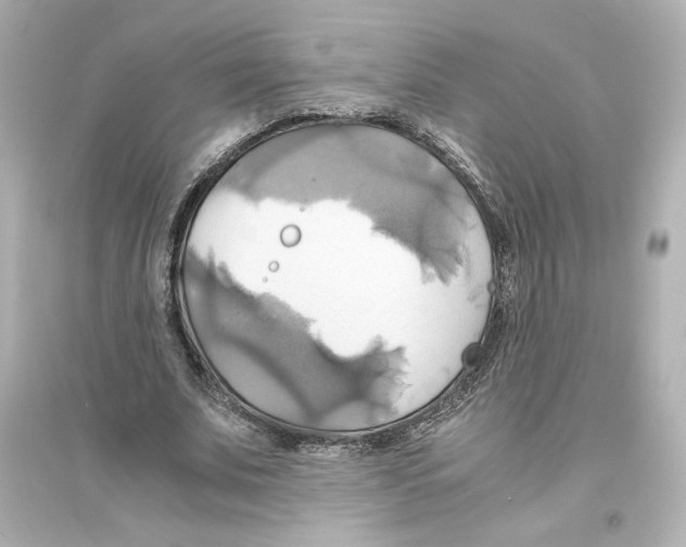 X0000093610679200711121213
