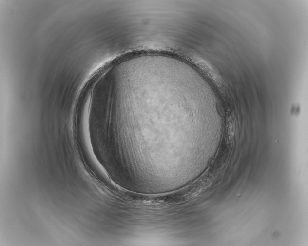 X0000093610680200711121213