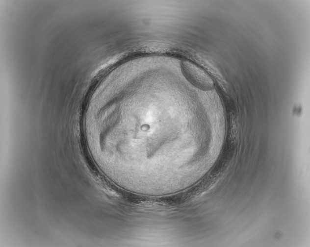 X0000093610681200711121213